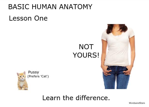 basic-human-anatomy